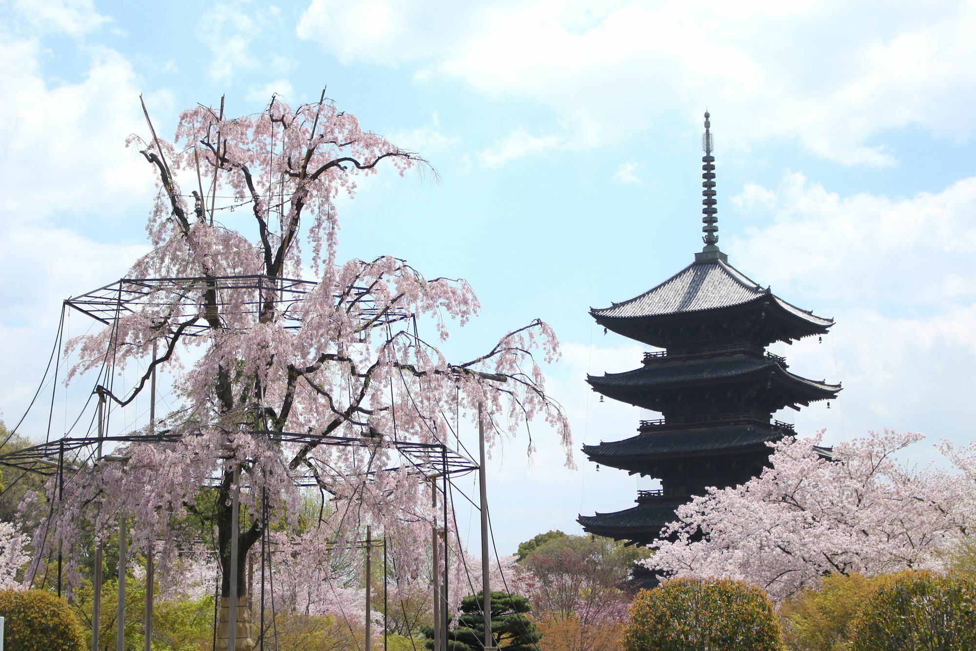 Appartement Sakura Toji South Ii Kyoto